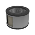 FILTRO ARIA 2077469